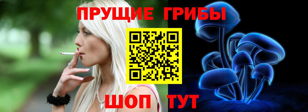 Галлюциногенные грибы Psilocybine cubensis  Псилоцибиновые грибы GOLDEN TEACHER  Егорьевск  Вход с VPN 