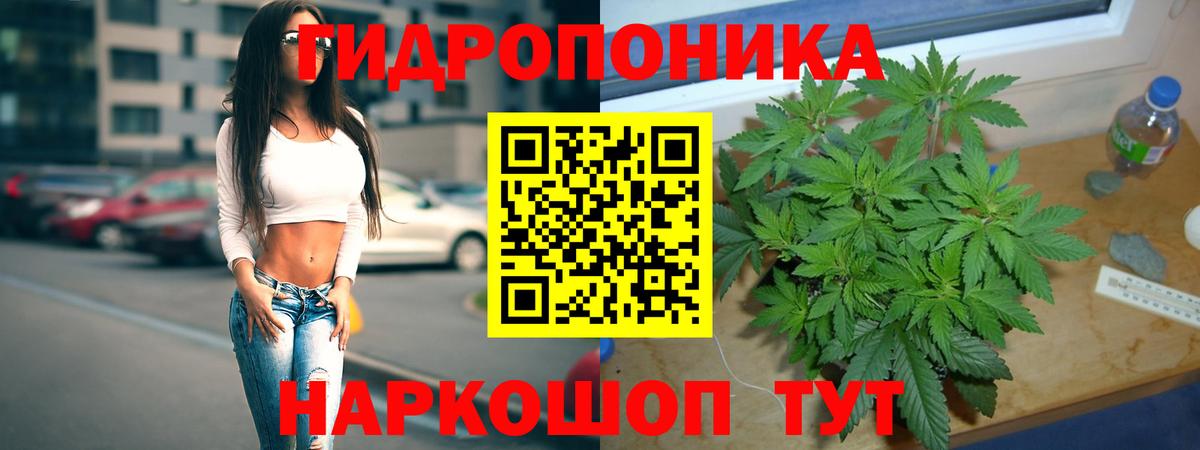 Шишки марихуана Amnesia Егорьевск